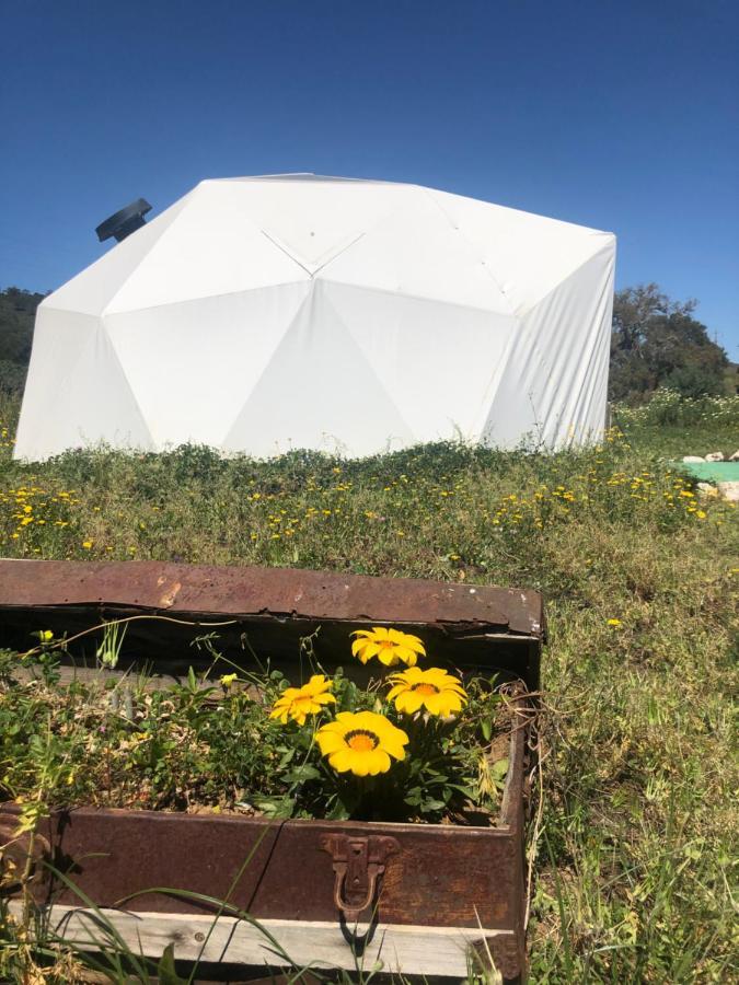 Forest Domes Setubal Bagian luar foto